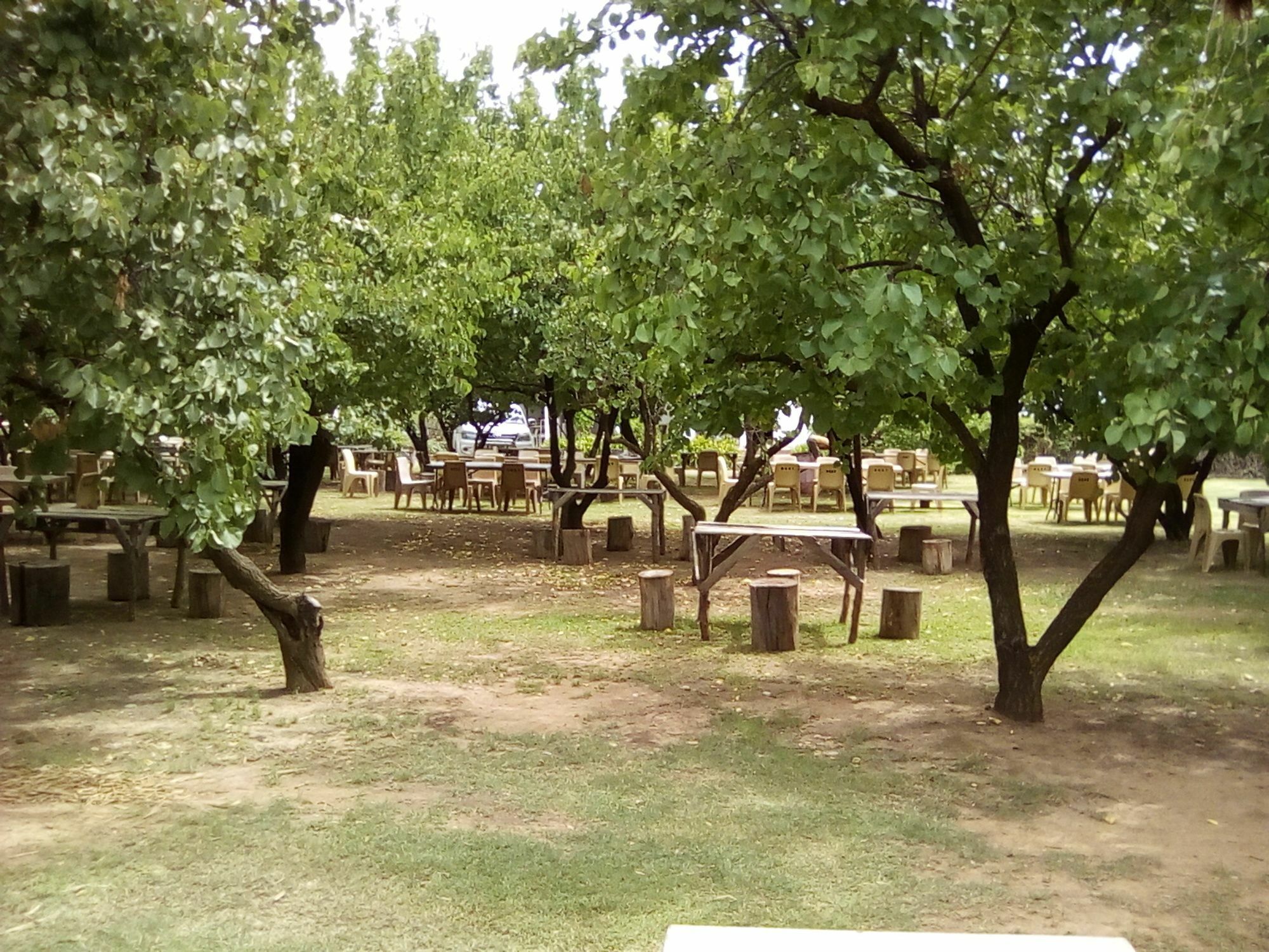 Oue Werf Country House Oudtshoorn Esterno foto