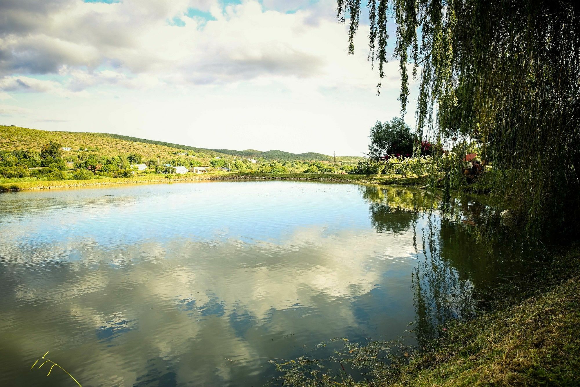 Oue Werf Country House Oudtshoorn Esterno foto